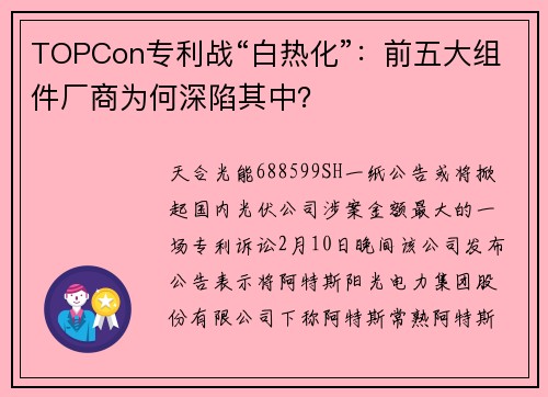 TOPCon专利战“白热化”：前五大组件厂商为何深陷其中？