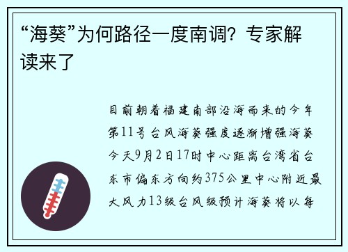 “海葵”为何路径一度南调？专家解读来了
