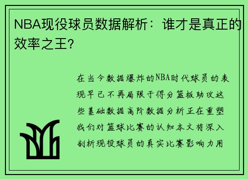 NBA现役球员数据解析：谁才是真正的效率之王？